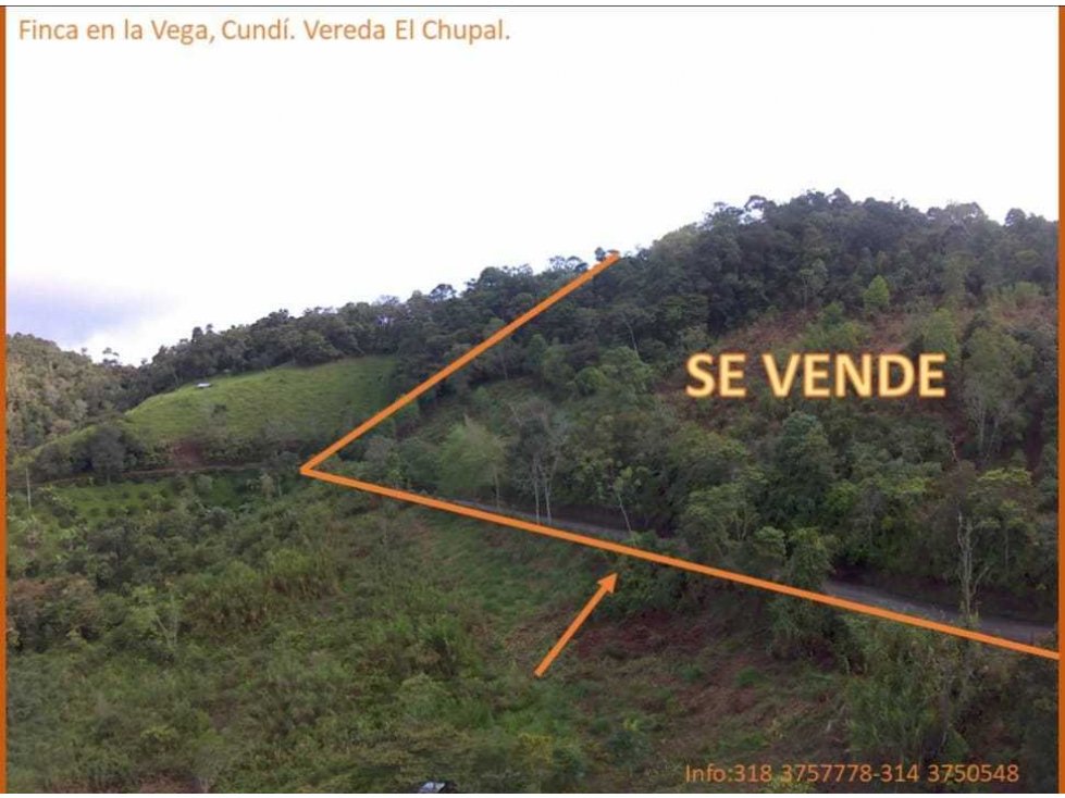 Hermosa Finca en La Vega - 1