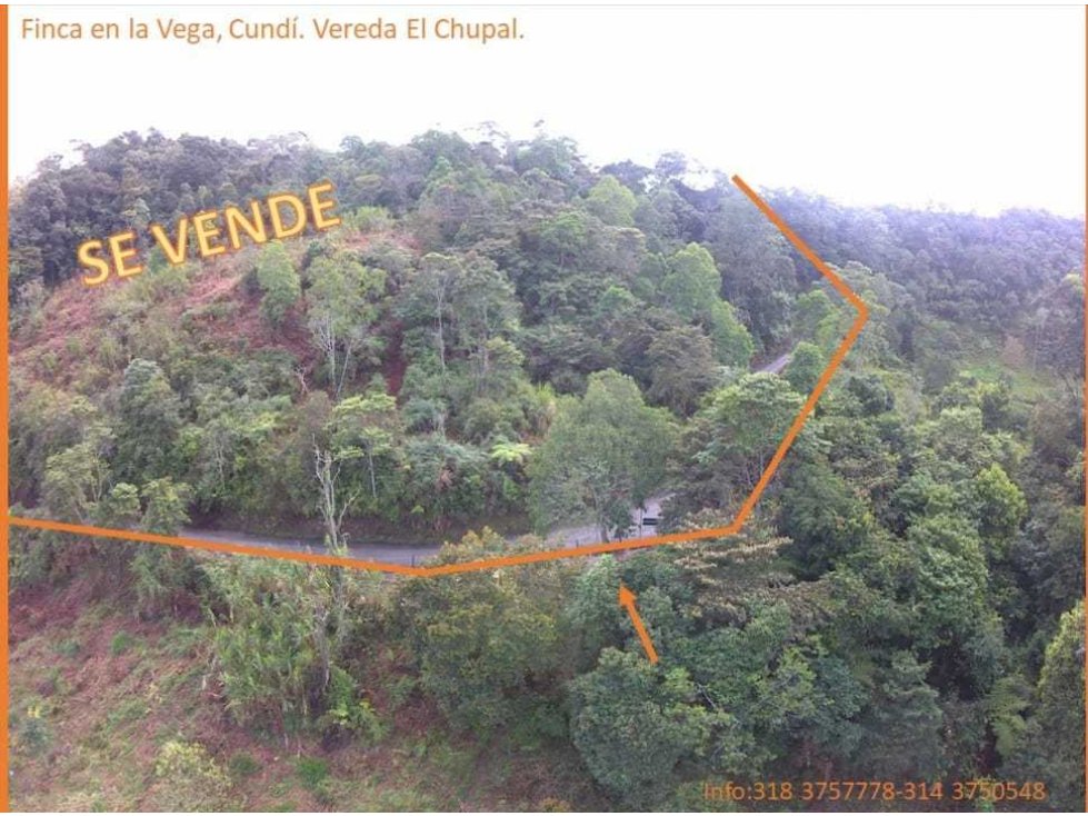 Hermosa Finca en La Vega - 4