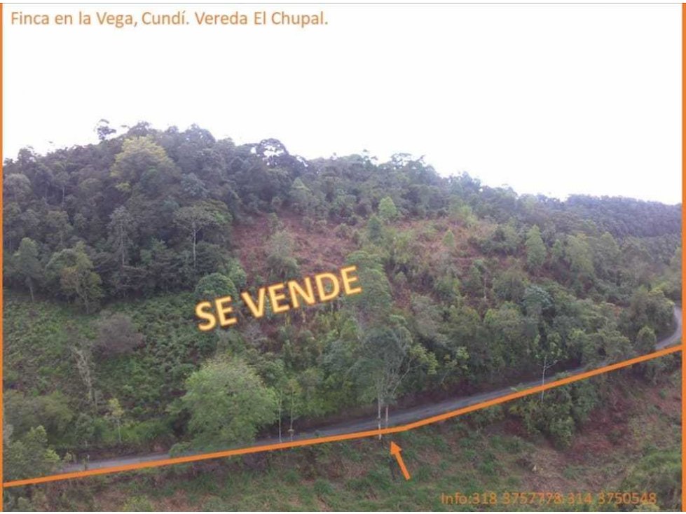Hermosa Finca en La Vega - 6