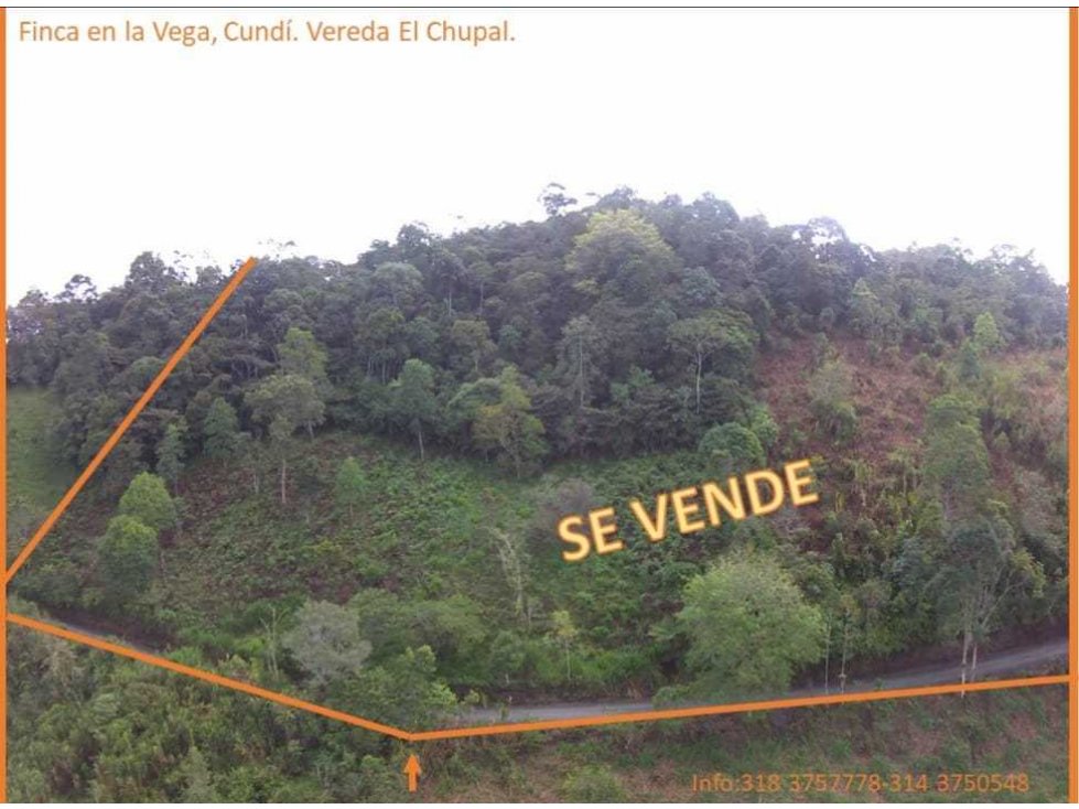 Hermosa Finca en La Vega - 2