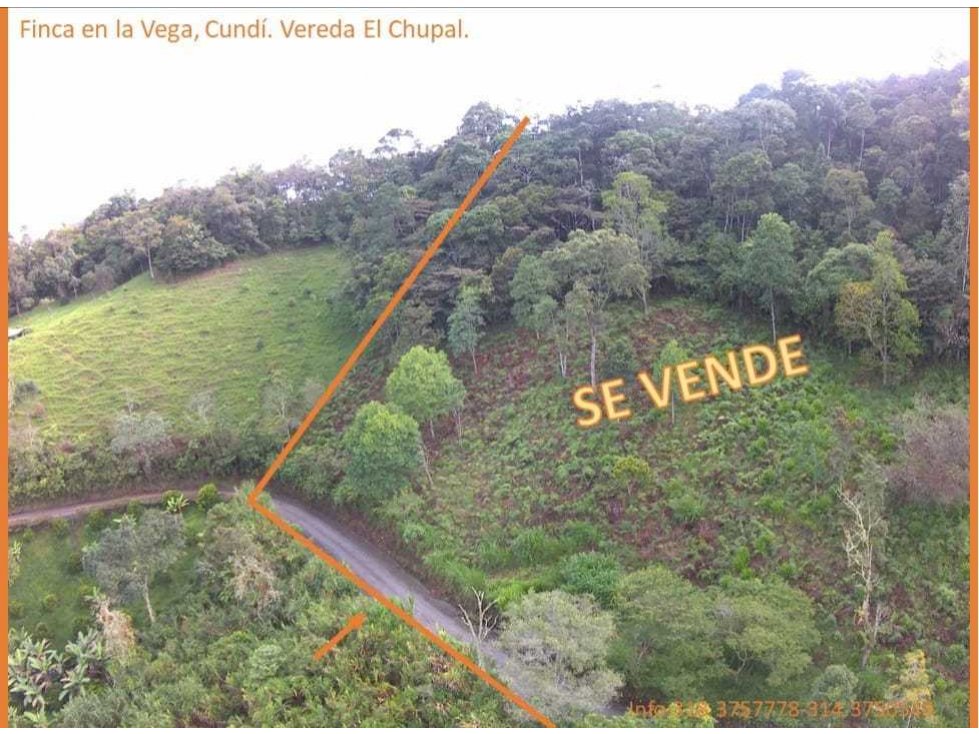 Hermosa Finca en La Vega - 3