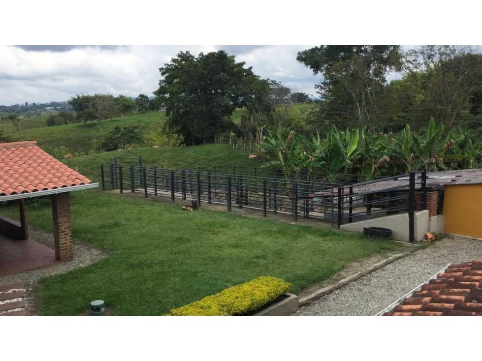 Hermosa finca en Circasia-Montenegro turística — foto 5