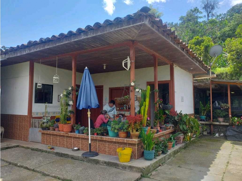 Hermosa finca en producción Mixta via Marsella-Risarálda - 6