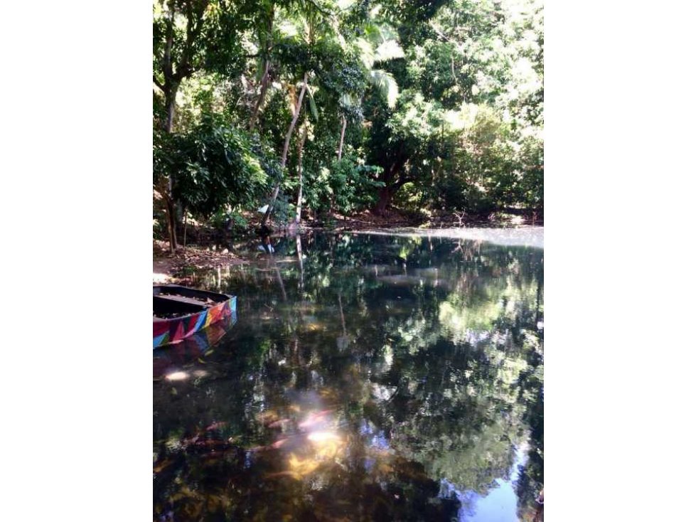 Finca de Mangos Santa Marta Colombia — foto 4