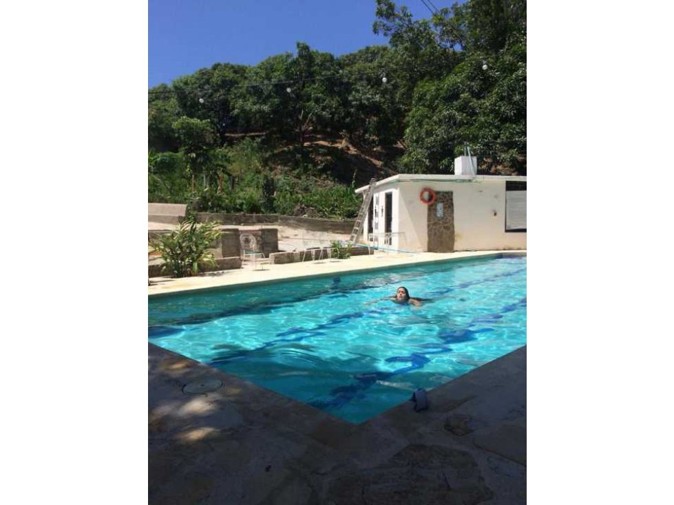 Finca de Mangos Santa Marta Colombia — foto 6