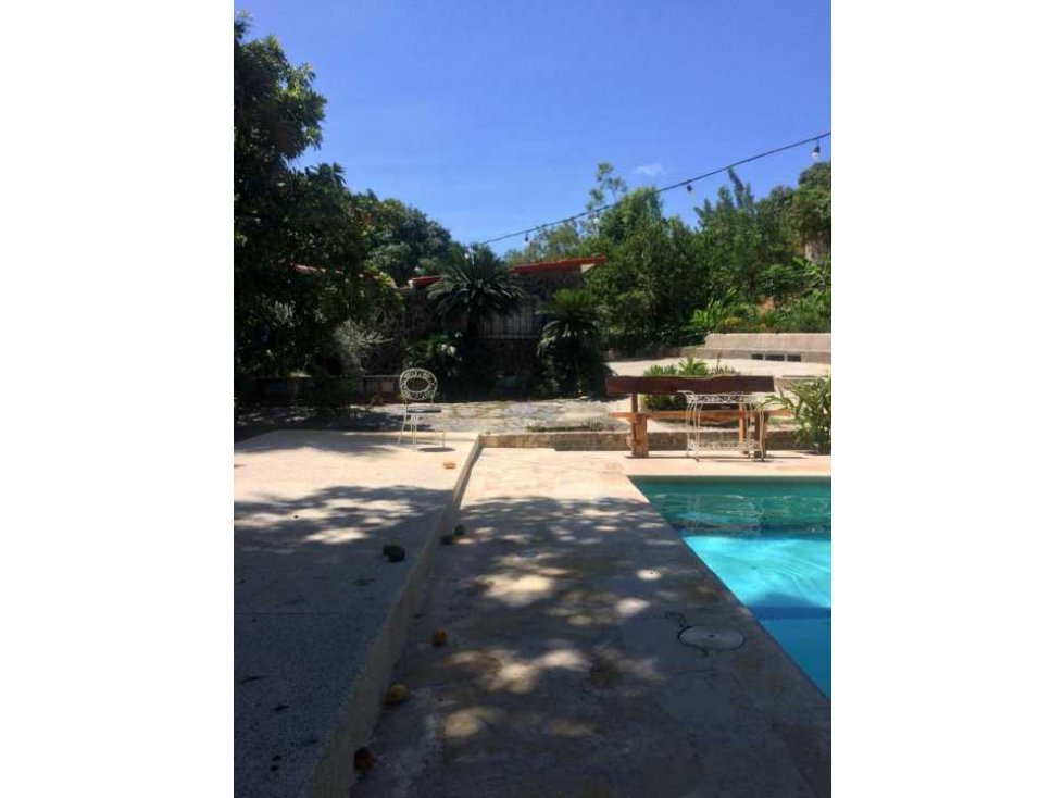 Finca de Mangos Santa Marta Colombia — foto 5