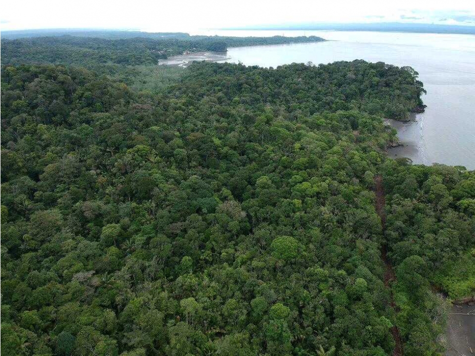 HERMOSO TERRENO EN VENTA PIANGUITA BUENAVENTURA - 2