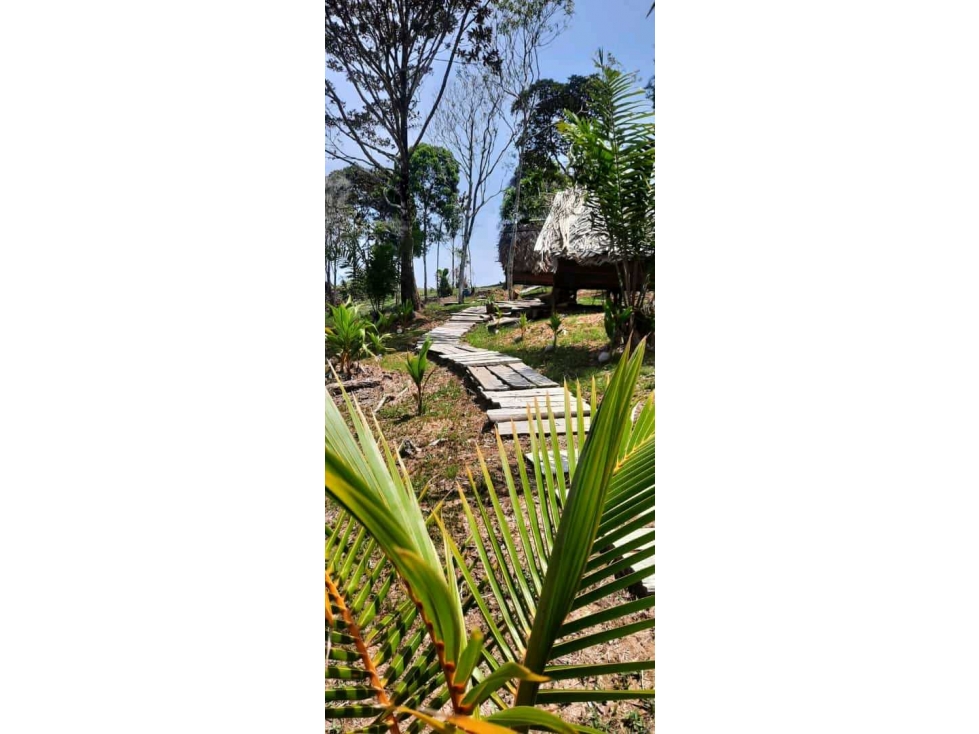 HERMOSO TERRENO EN VENTA PIANGUITA BUENAVENTURA - 4