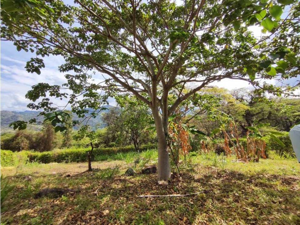 Hermoso lote de 1274 M2 en 179 mill en La Mesa Cund, Colombia — foto 4