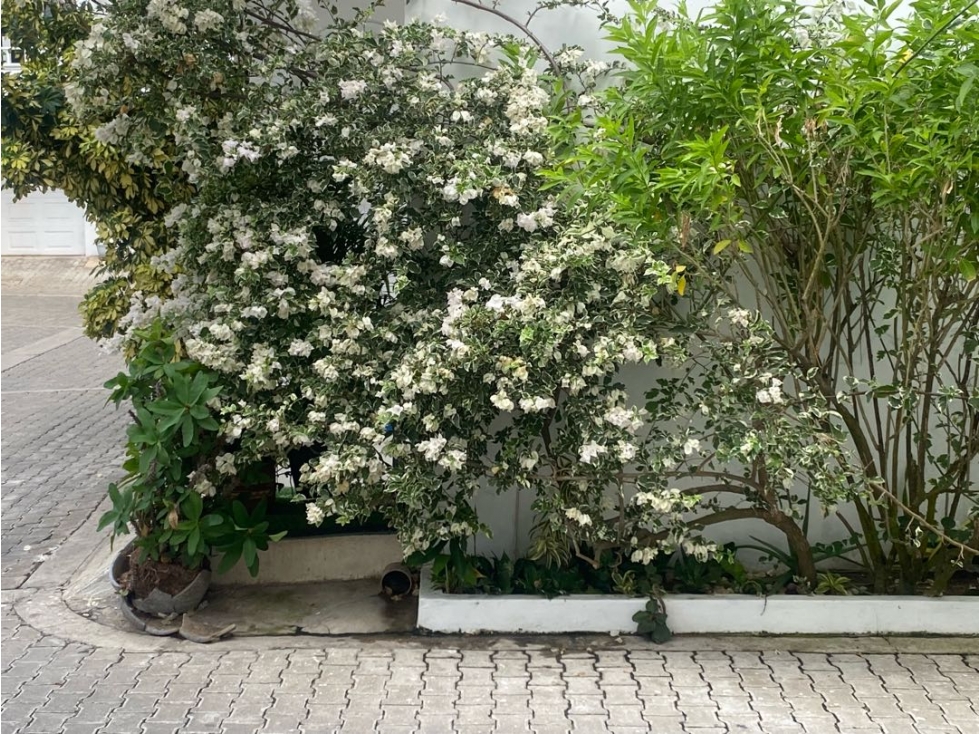 Hermosa Casa en conjunto en Venta en Villa Santos — foto 5