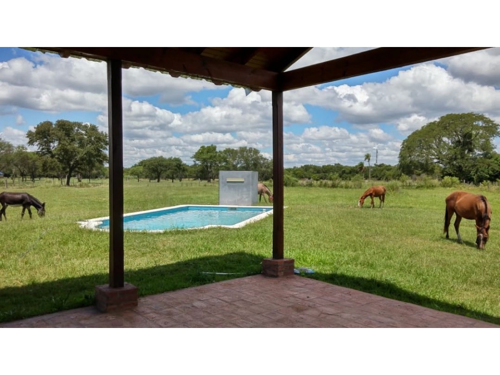 Casa quinta, depósito y piscina sobre 2 Has. Puerto Tirol. - 3