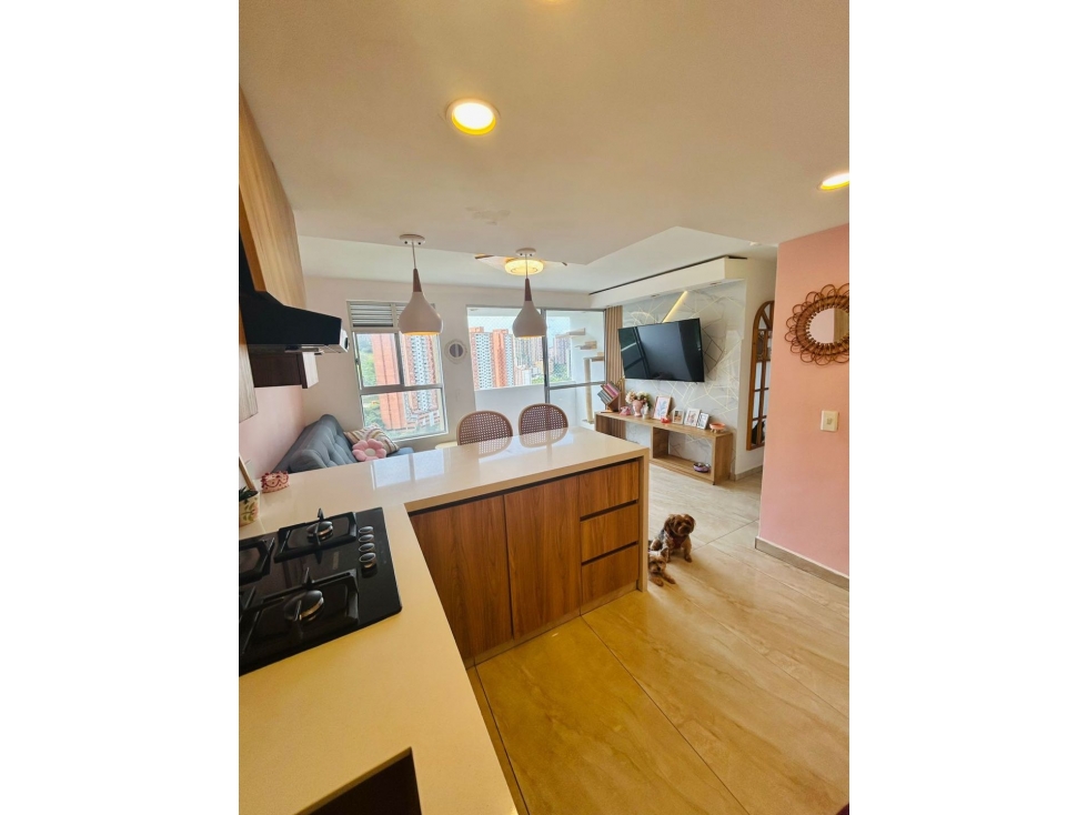 HERMOSO APARTAMENTO RESERVA SERRAT FAUNA SECTOR CALAZANS — foto 3