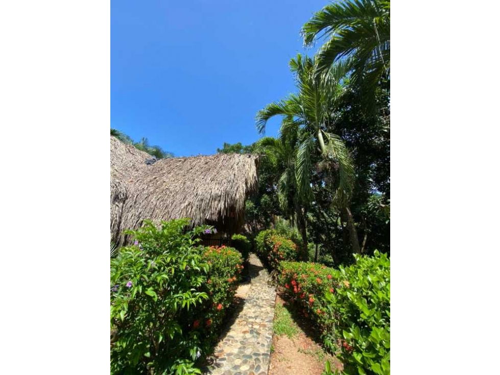 Hermoso hostal con 7 cabañas, 9052m2, acceso a rio, parque tayrona - 3