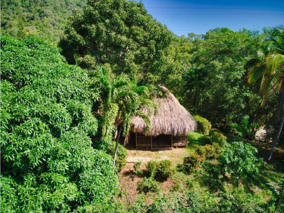 Hermoso hostal con 7 cabañas, 9052m2, acceso a rio, parque tayrona - 4