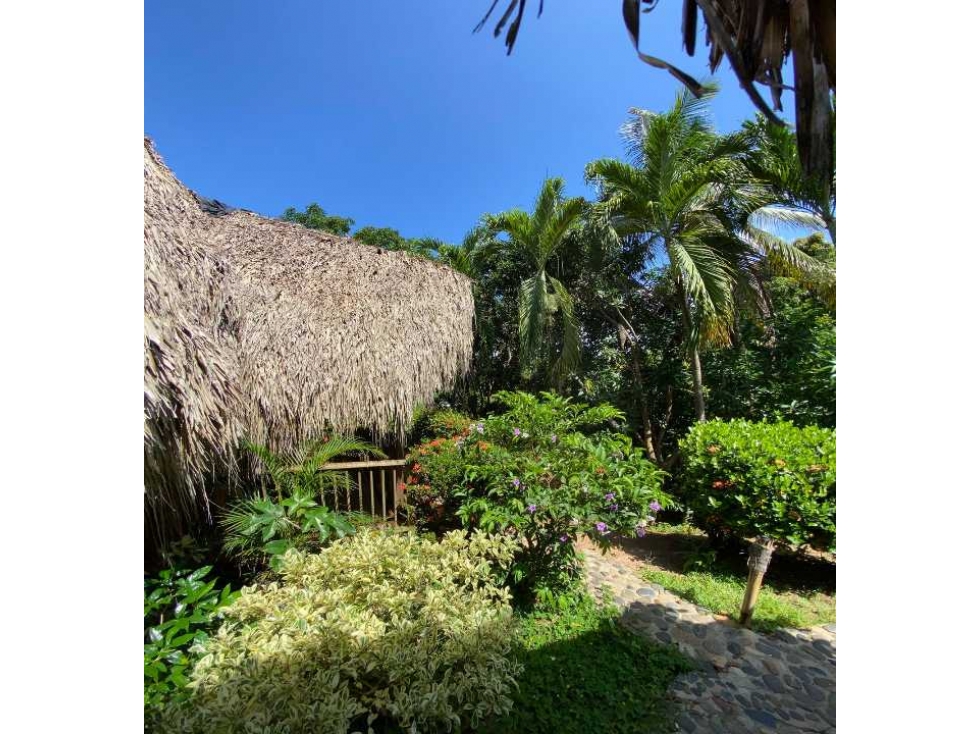 Hermoso hostal con 7 cabañas, 9052m2, acceso a rio, parque tayrona - 5