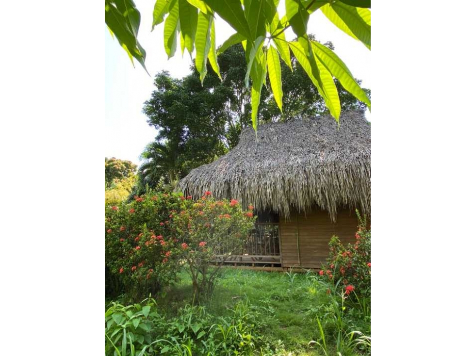 Hermoso hostal con 7 cabañas, 9052m2, acceso a rio, parque tayrona - 6