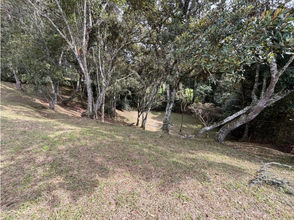 VENTA DE LOTE EN ENVIGADO SECTOR VARIANTE DE PALMAS EN UNIDAD CERRADA — foto 5