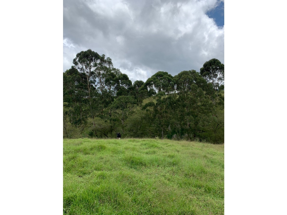 HERMOSO LOTE APROVECHAMIENTO EN PARCELACIÓN O CASA CAMPESTRE EN VENTA