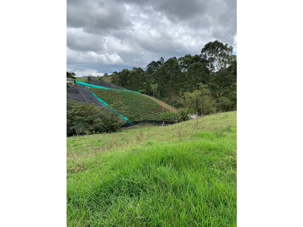 HERMOSO LOTE APROVECHAMIENTO EN PARCELACIÓN O CASA CAMPESTRE EN VENTA — foto 3