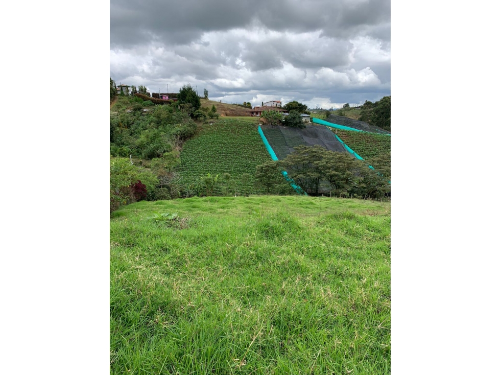 HERMOSO LOTE APROVECHAMIENTO EN PARCELACIÓN O CASA CAMPESTRE EN VENTA — foto 4