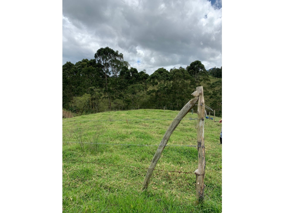 HERMOSO LOTE APROVECHAMIENTO EN PARCELACIÓN O CASA CAMPESTRE EN VENTA — foto 6