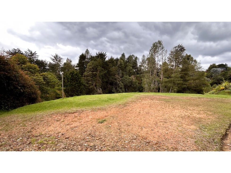 HERMOSO LOTE ATÍPICO EN EL ALTO DE LAS PALMAS / MERCAJUSTE