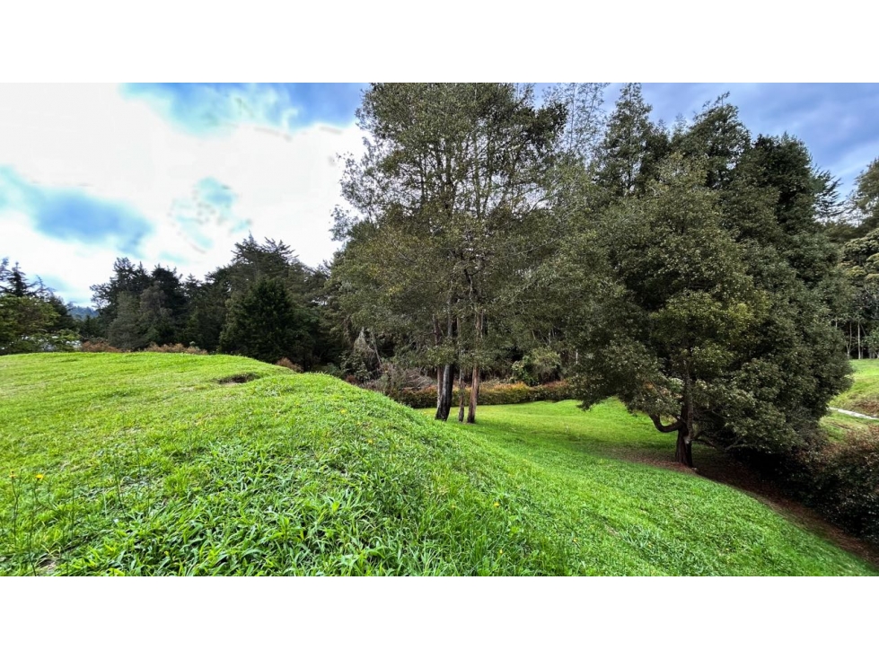 HERMOSO LOTE ATÍPICO EN EL ALTO DE LAS PALMAS / MERCAJUSTE — foto 3