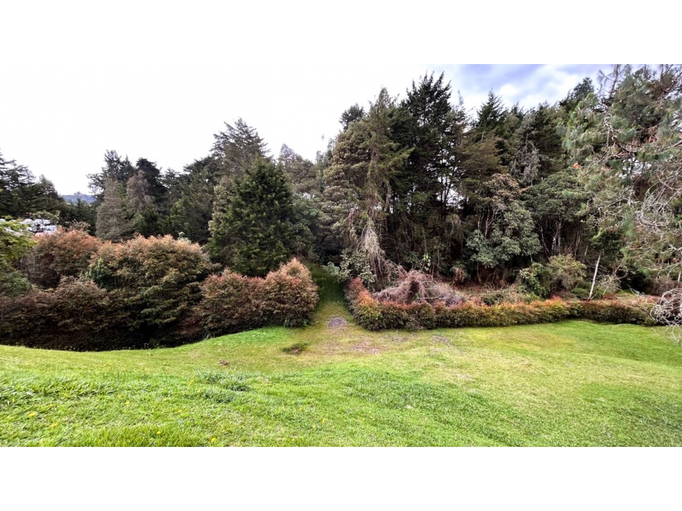 HERMOSO LOTE ATÍPICO EN EL ALTO DE LAS PALMAS / MERCAJUSTE — foto 4
