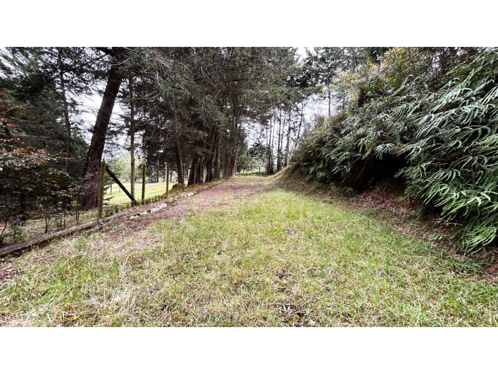 HERMOSO LOTE ATÍPICO EN EL ALTO DE LAS PALMAS / MERCAJUSTE — foto 5
