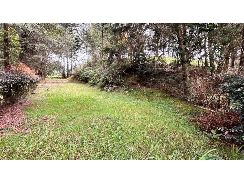 HERMOSO LOTE ATÍPICO EN EL ALTO DE LAS PALMAS / MERCAJUSTE — foto 6