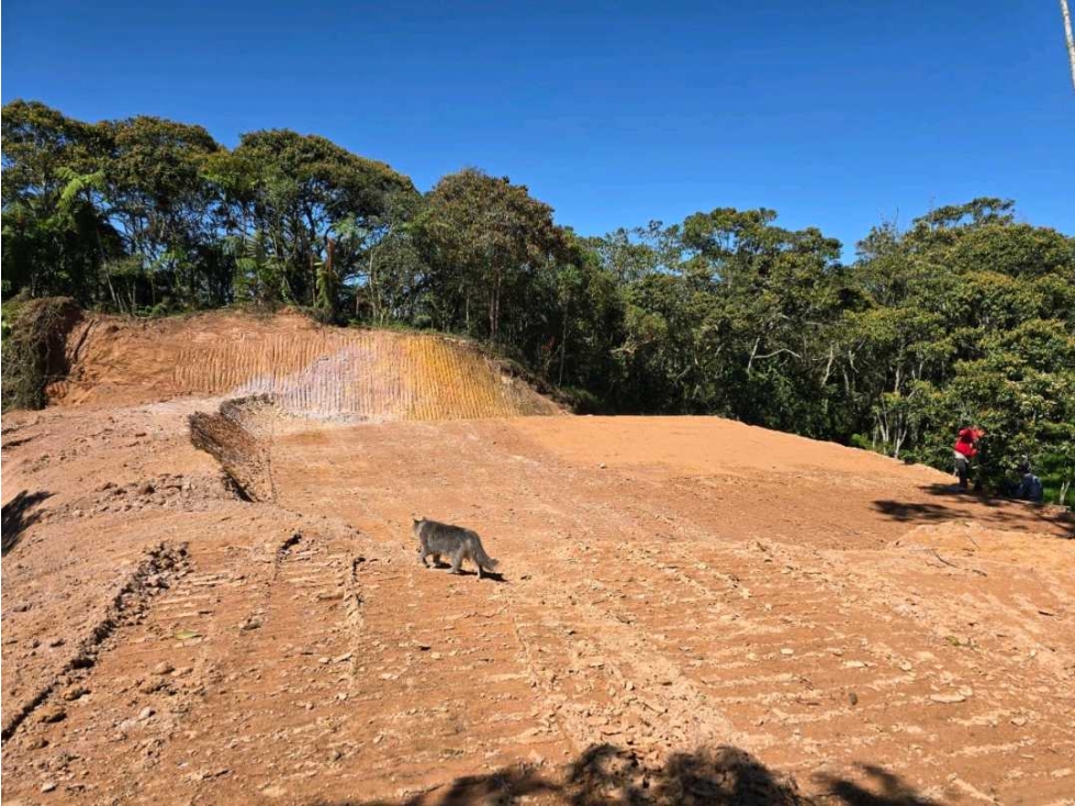 Hermoso Lote con bosque Marinilla