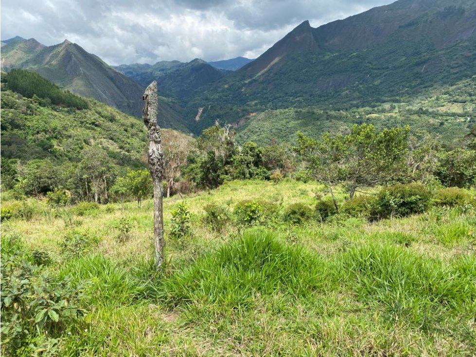 Venpermuto lote con vista espectacular en Pacho, Cundinamarca - 3
