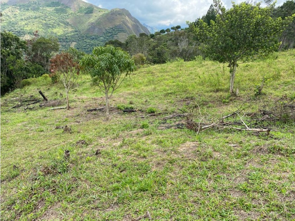 Venpermuto lote con vista espectacular en Pacho, Cundinamarca - 4