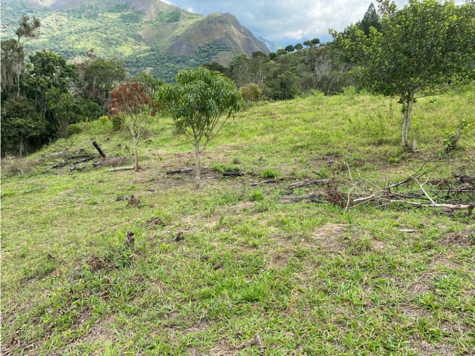 Venpermuto lote con vista espectacular en Pacho, Cundinamarca - 5
