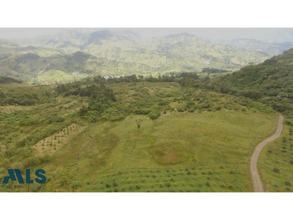Hermoso Lote, con vista maravillosa(MLS#256942) - 1