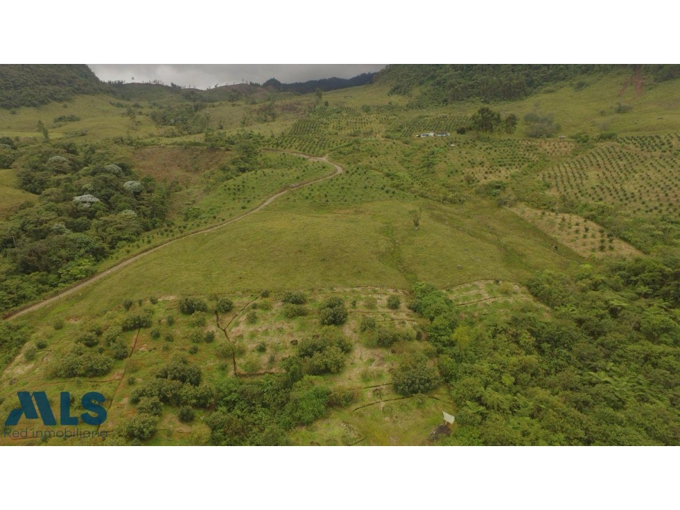Hermoso Lote, con vista maravillosa(MLS#256942) - 2