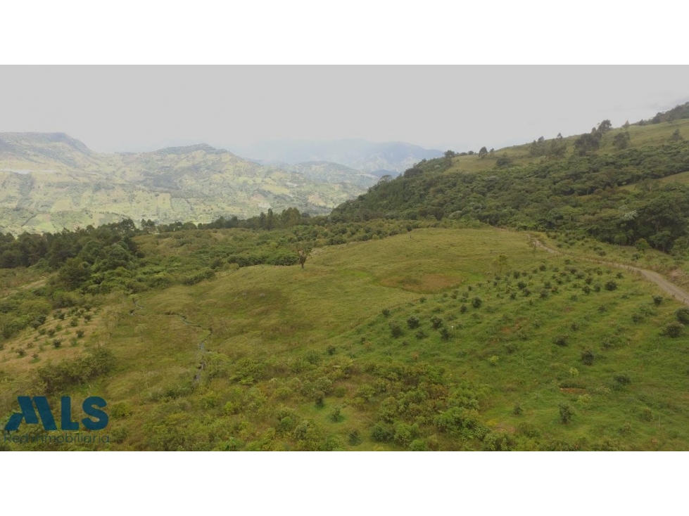 Hermoso Lote, con vista maravillosa(MLS#256942) - 3