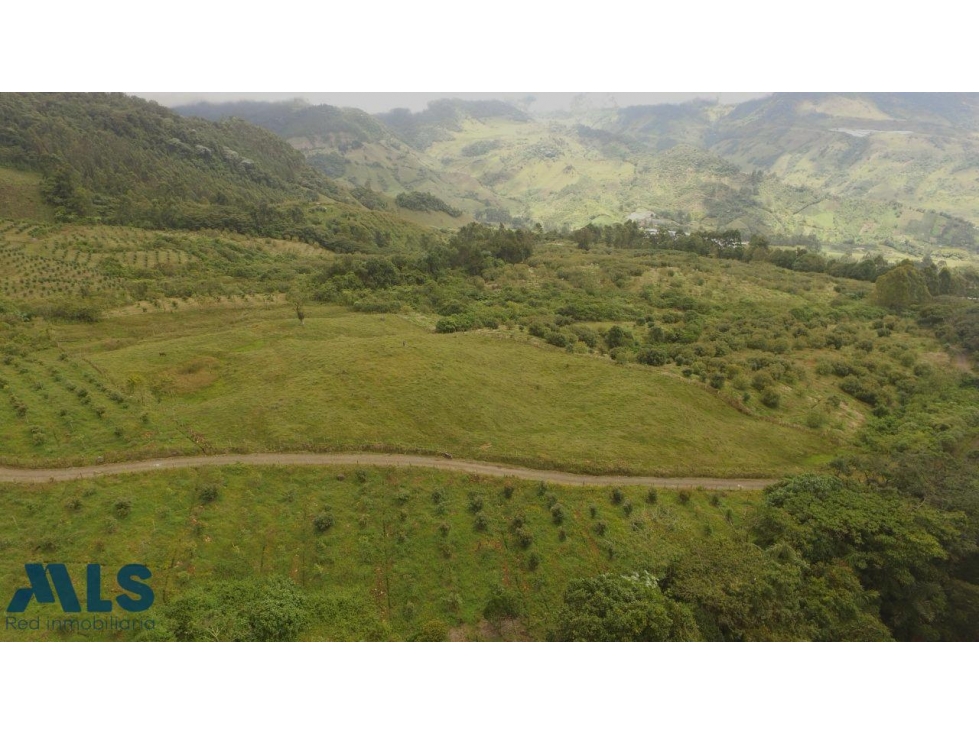 Hermoso Lote, con vista maravillosa(MLS#256942) - 5