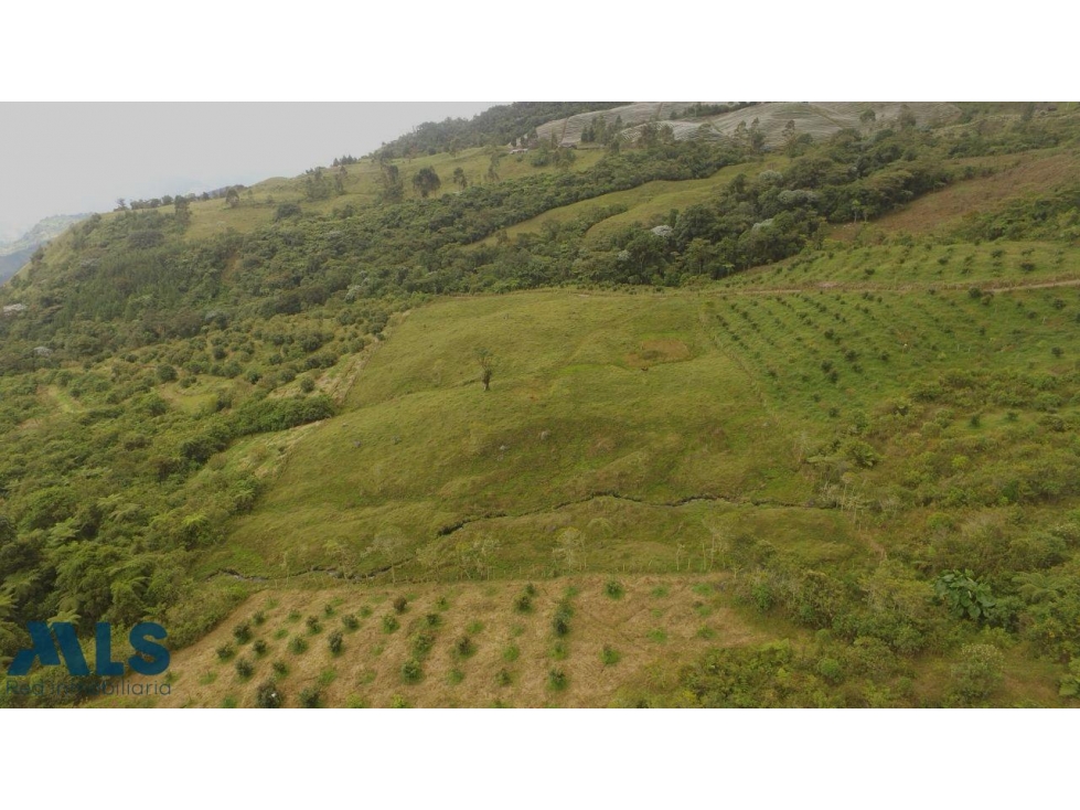 Hermoso Lote, con vista maravillosa(MLS#256942) - 6