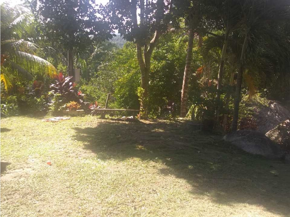Casa Lote En Pie De Montaña Santa Marta Colombia — foto 2