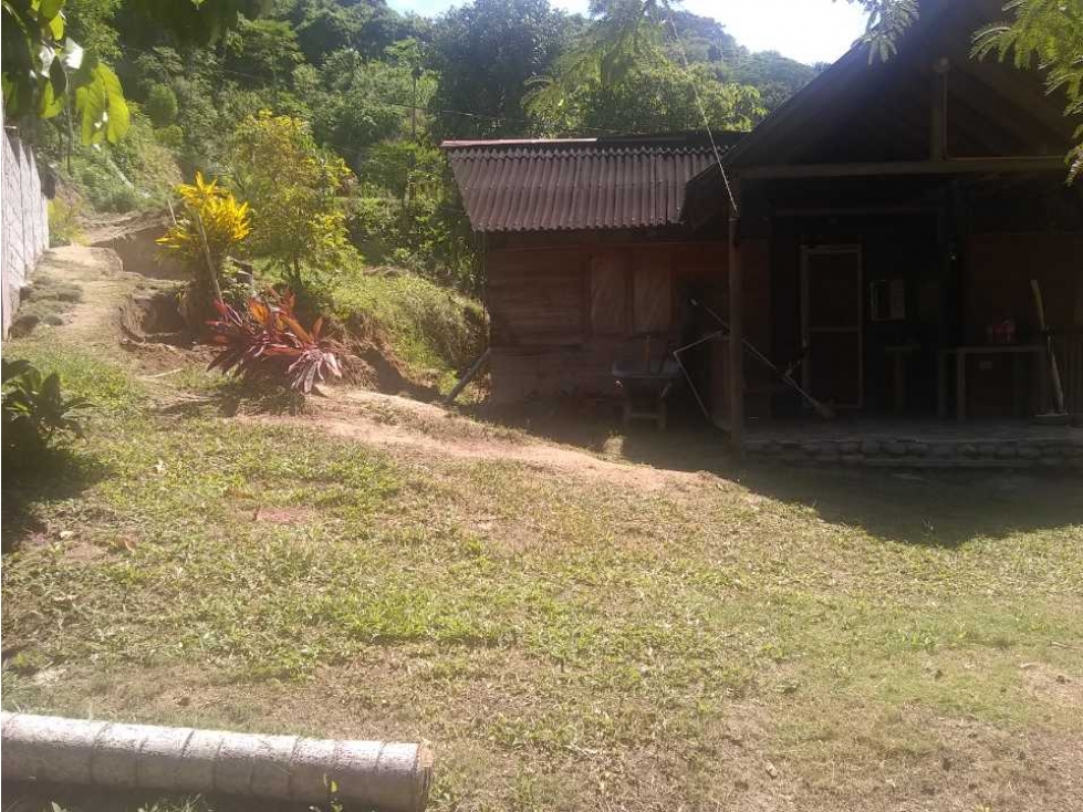 Casa Lote En Pie De Montaña Santa Marta Colombia — foto 4