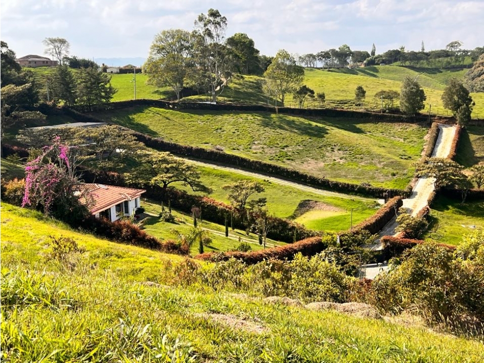 OPORTUNIDAD LINDO LOTE EN VENTA EN LA VEREDA QUIRAMA - CARMEN VIB