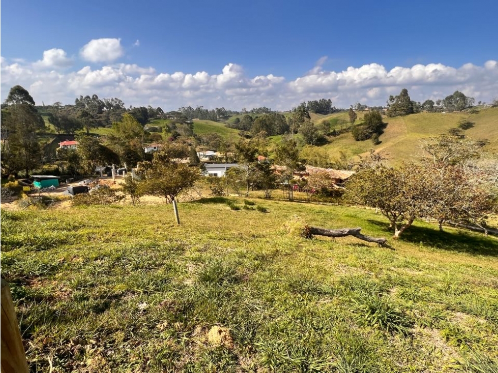 OPORTUNIDAD LINDO LOTE EN VENTA EN LA VEREDA QUIRAMA - CARMEN VIB — foto 2