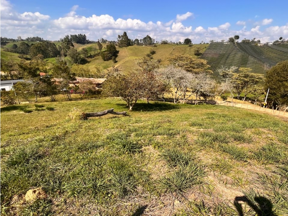 OPORTUNIDAD LINDO LOTE EN VENTA EN LA VEREDA QUIRAMA - CARMEN VIB — foto 3