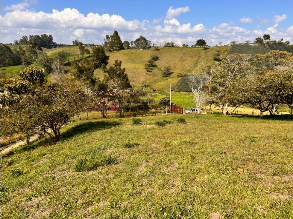 OPORTUNIDAD LINDO LOTE EN VENTA EN LA VEREDA QUIRAMA - CARMEN VIB — foto 5