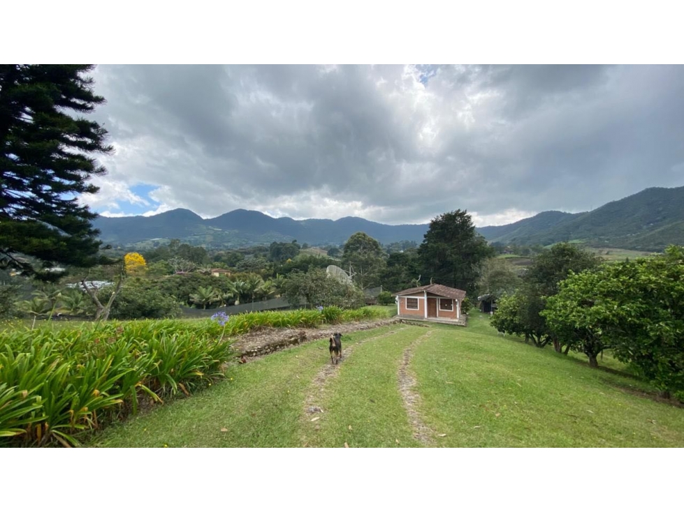 Hermoso lote en El Carmen de Viboral vereda Aguas Claras — foto 4