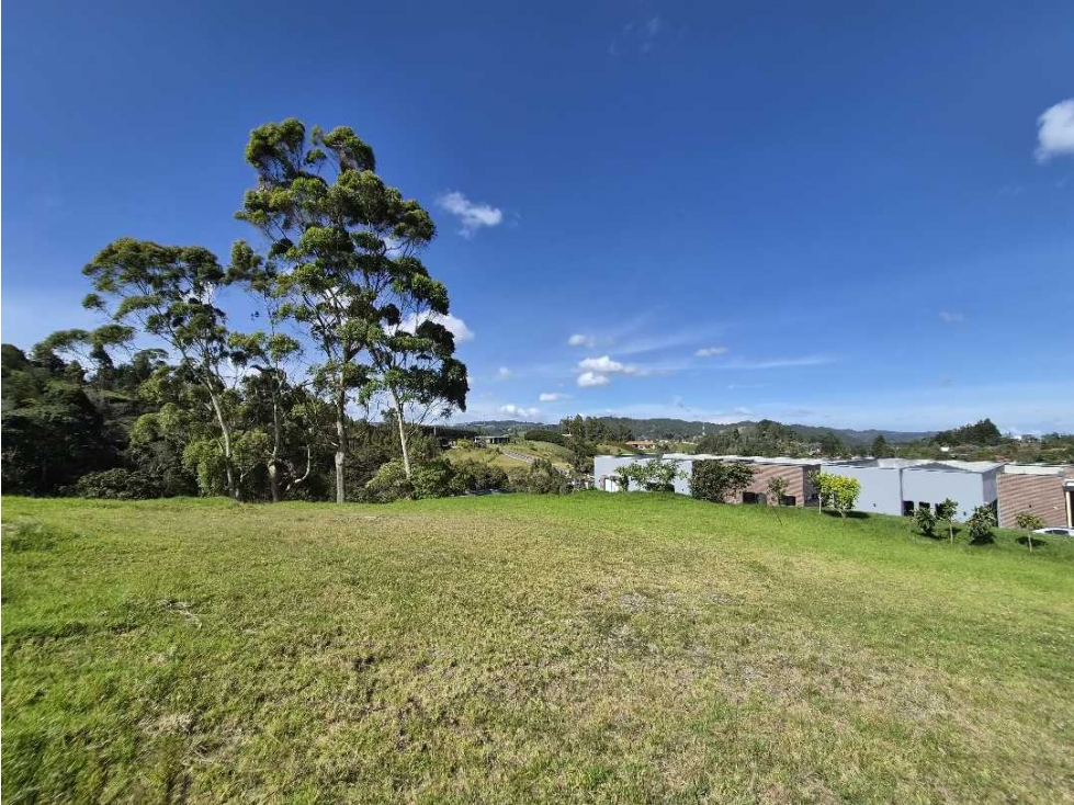 HERMOSO LOTE EN EL NUEVO ALTO DE LAS PALMAS — foto 3