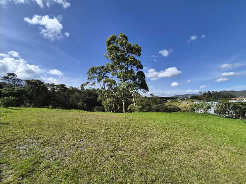 HERMOSO LOTE EN EL NUEVO ALTO DE LAS PALMAS — foto 4