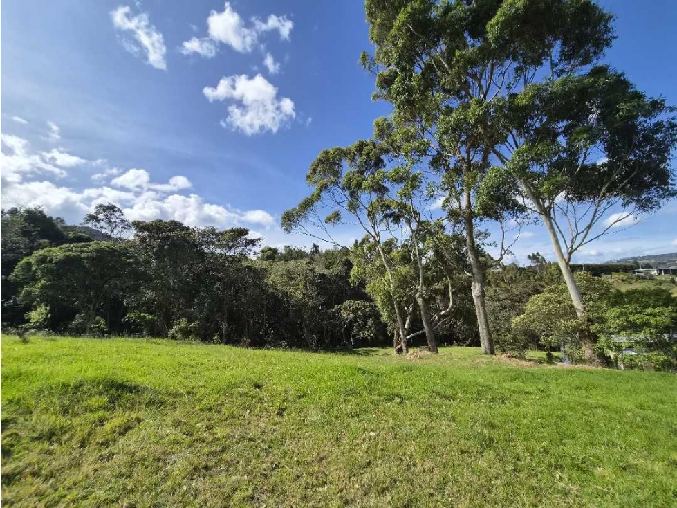 HERMOSO LOTE EN EL NUEVO ALTO DE LAS PALMAS — foto 5