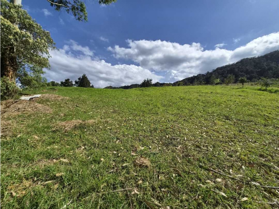 HERMOSO LOTE EN EL NUEVO ALTO DE LAS PALMAS — foto 6